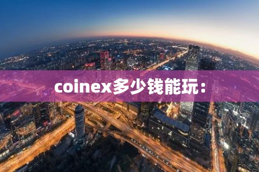 coinex多少钱能玩：