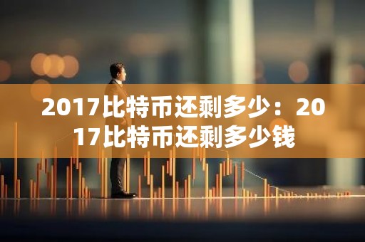 2017比特币还剩多少：2017比特币还剩多少钱