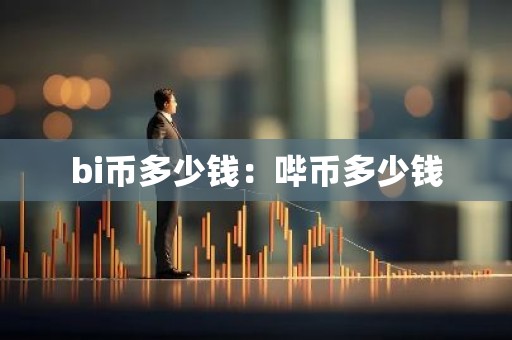 bi币多少钱：哔币多少钱