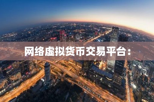 网络虚拟货币交易平台：
