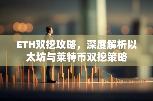 ETH双挖攻略，深度解析以太坊与莱特币双挖策略
