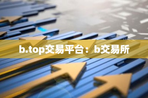 b.top交易平台：b交易所