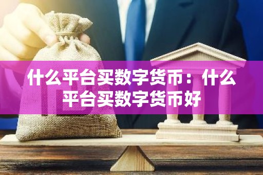 什么平台买数字货币：什么平台买数字货币好