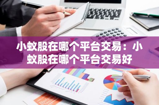 小蚁股在哪个平台交易：小蚁股在哪个平台交易好