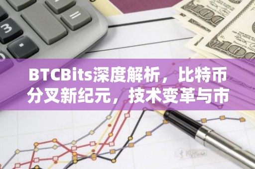BTCBits深度解析，比特币分叉新纪元，技术变革与市场展望