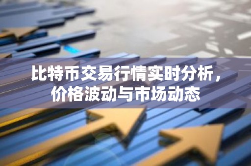 比特币交易行情实时分析，价格波动与市场动态