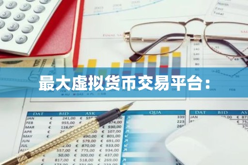 最大虚拟货币交易平台：