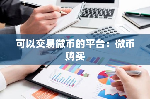可以交易微币的平台：微币购买