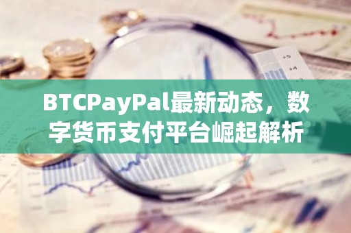 BTCPayPal最新动态，数字货币支付平台崛起解析