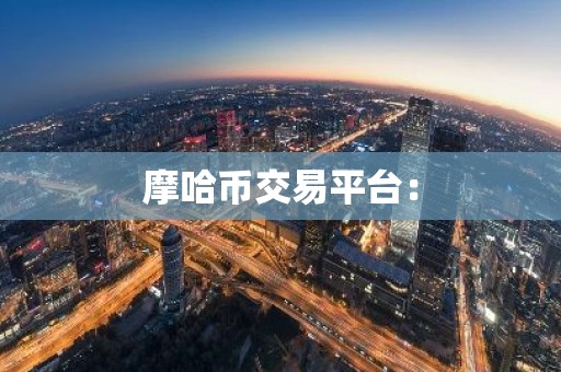 摩哈币交易平台：