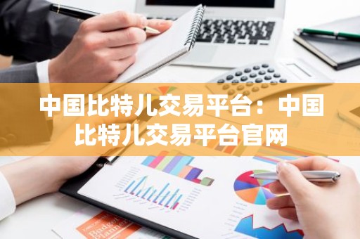 中国比特儿交易平台：中国比特儿交易平台官网