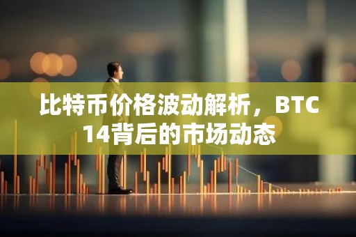 比特币价格波动解析，BTC14背后的市场动态