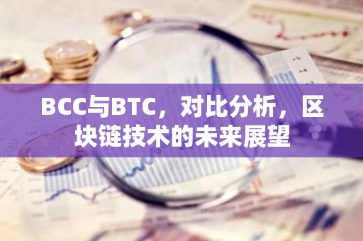 BCC与BTC，对比分析，区块链技术的未来展望