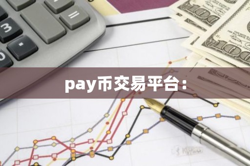 pay币交易平台：