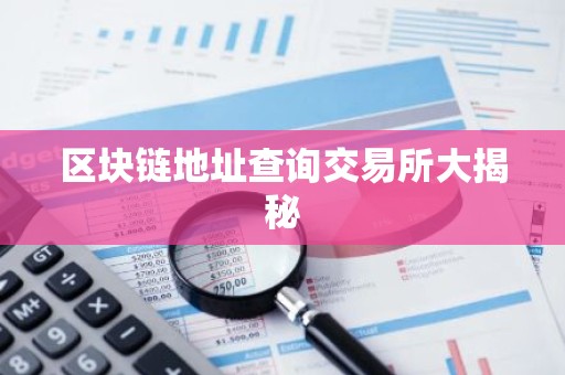 区块链地址查询交易所大揭秘