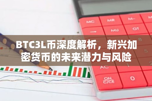 BTC3L币深度解析，新兴加密货币的未来潜力与风险
