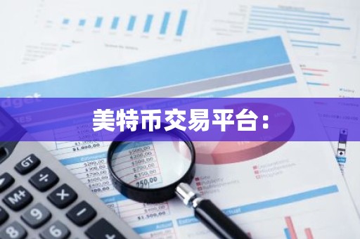美特币交易平台：