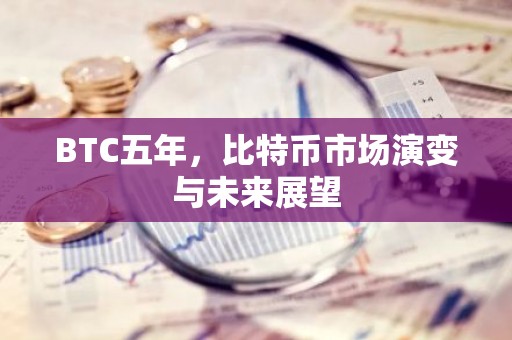 BTC五年，比特币市场演变与未来展望