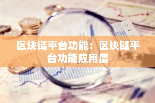 区块链平台功能：区块链平台功能应用层