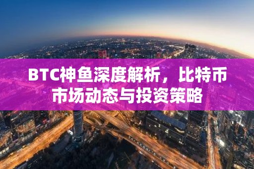 BTC神鱼深度解析，比特币市场动态与投资策略