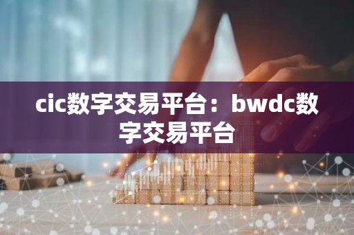 cic数字交易平台：bwdc数字交易平台