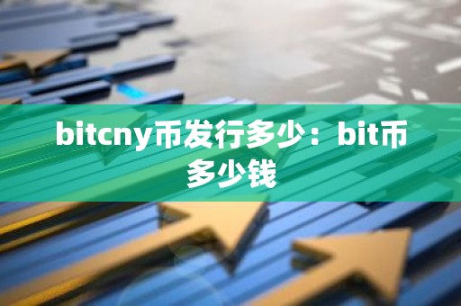 bitcny币发行多少：bit币多少钱
