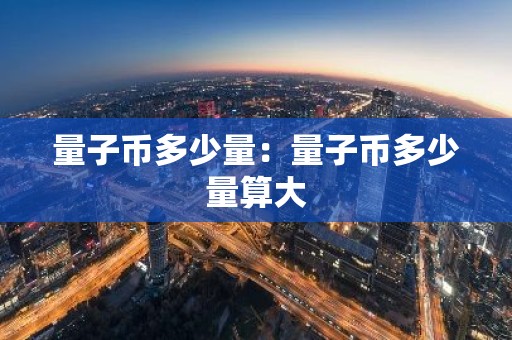 量子币多少量：量子币多少量算大