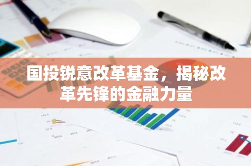 国投锐意改革基金，揭秘改革先锋的金融力量