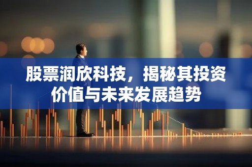 股票润欣科技，揭秘其投资价值与未来发展趋势