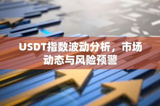 USDT指数波动分析，市场动态与风险预警