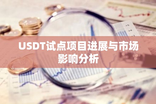 USDT试点项目进展与市场影响分析