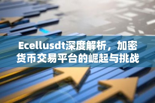 Ecellusdt深度解析，加密货币交易平台的崛起与挑战