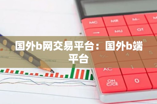 国外b网交易平台：国外b端平台
