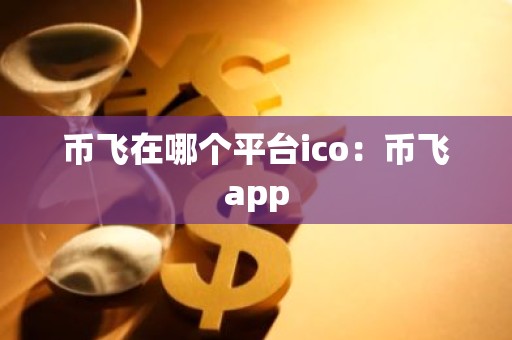 币飞在哪个平台ico：币飞app