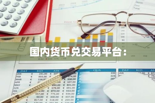 国内货币兑交易平台：