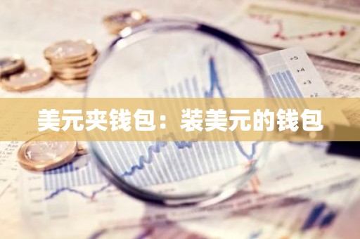 美元夹钱包：装美元的钱包
