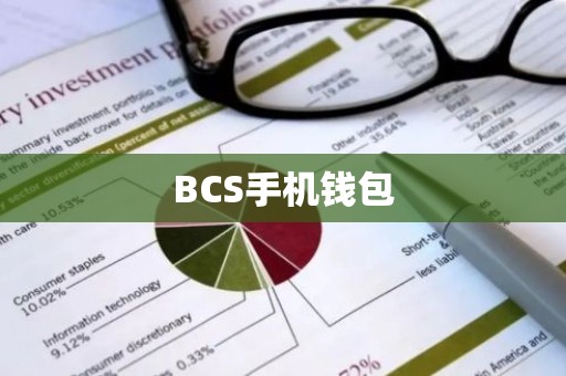 BCS手机钱包