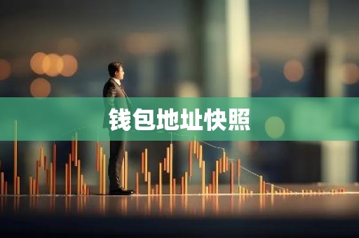 钱包地址快照