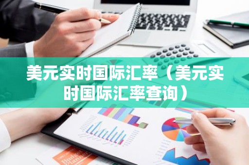 美元实时国际汇率（美元实时国际汇率查询）