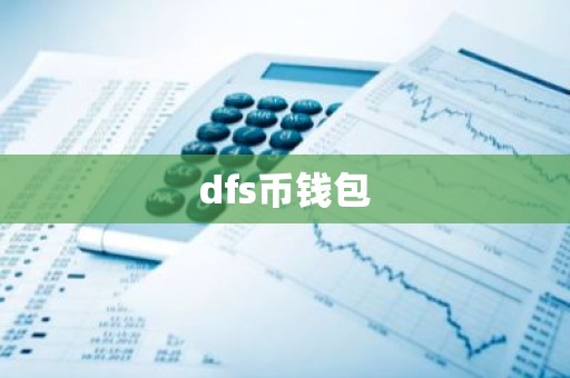 dfs币钱包