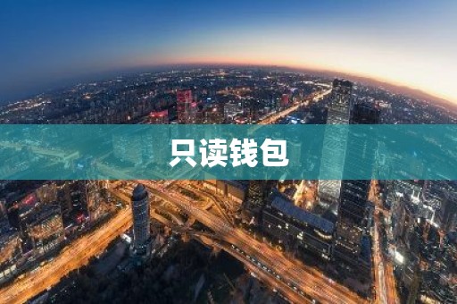 只读钱包