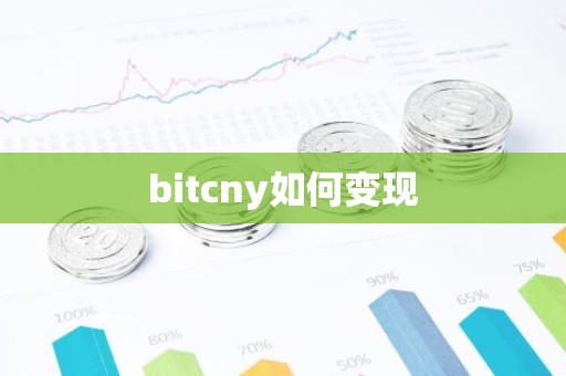 bitcny如何变现