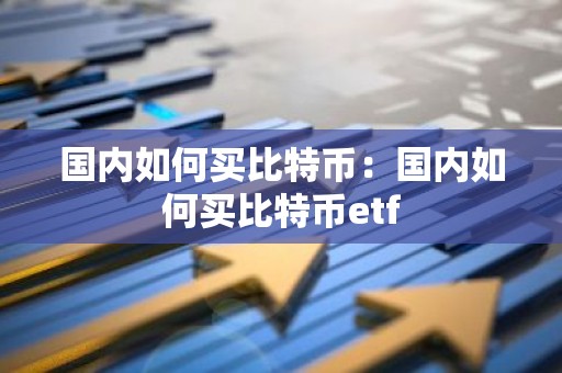 国内如何买比特币：国内如何买比特币etf