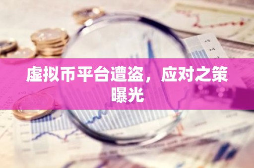 虚拟币平台遭盗，应对之策曝光