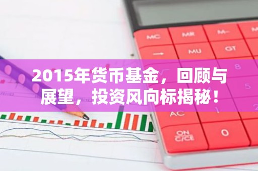 2015年货币基金，回顾与展望，投资风向标揭秘！