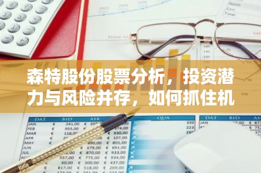 森特股份股票分析，投资潜力与风险并存，如何抓住机遇？