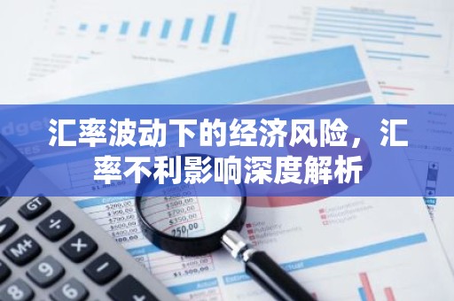 汇率波动下的经济风险，汇率不利影响深度解析