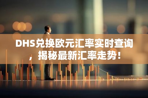 DHS兑换欧元汇率实时查询，揭秘最新汇率走势！