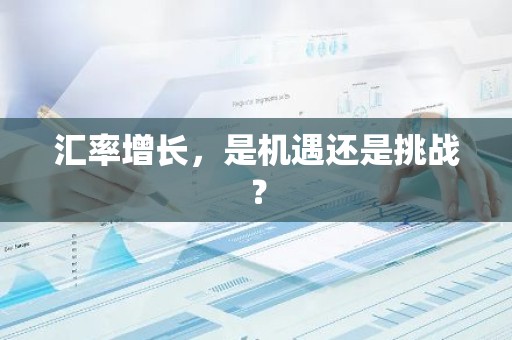 汇率增长，是机遇还是挑战？