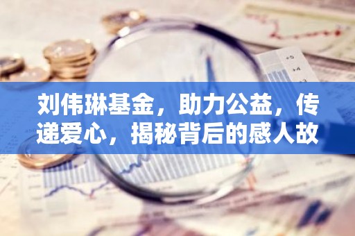 刘伟琳基金，助力公益，传递爱心，揭秘背后的感人故事